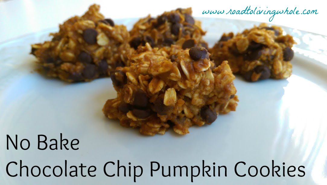 Gluten Free No Bake Chocolate Chip Oatmeal Pumpkin Cookies