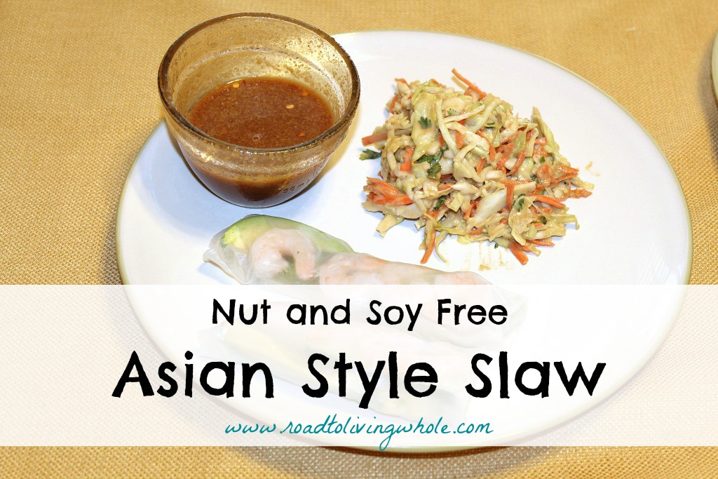 nut and soy free asian style slaw
