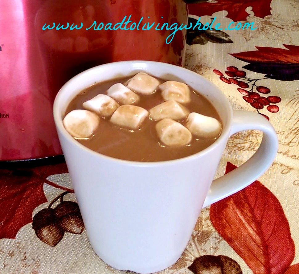 Creamy dairy free hot chocolate