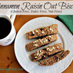 gluten free cinnamon raisin oat biscotti