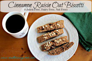 gluten free cinnamon raisin oat biscotti