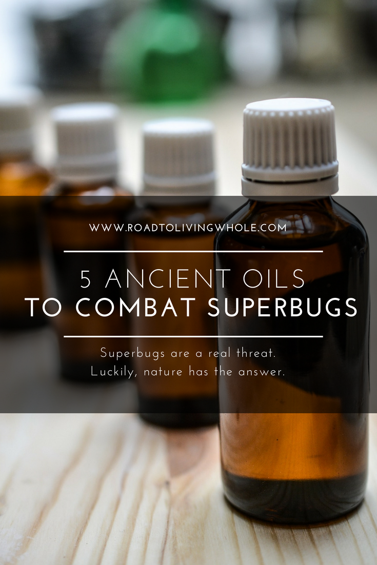 ancient oils superbugs