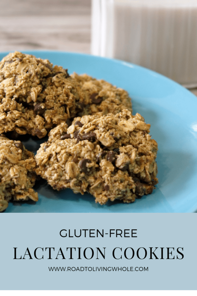 gluten free lactation cookies