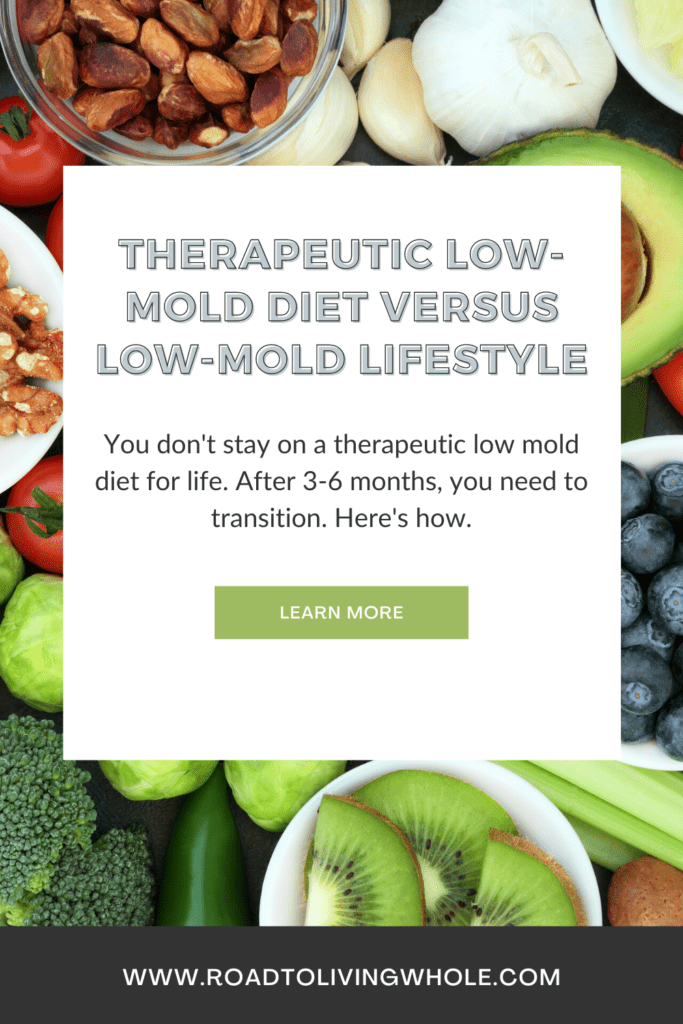 Therapeutic Low-Mold Diet versus Low-Mold Lifestyle for Mold Recovery
